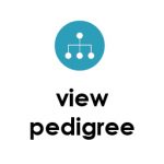 view pedigree